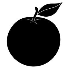 vector illustration of Pear  Fruit