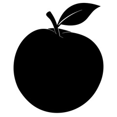 vector illustration of Pear  Fruit