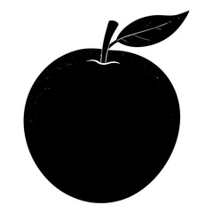 vector illustration of Pear  Fruit