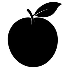 vector illustration of Pear  Fruit