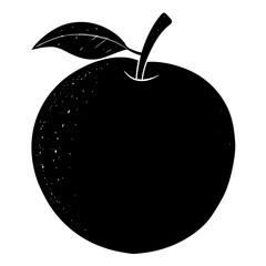 vector illustration of Pear  Fruit