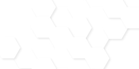 Fototapeta premium Abstract tech Geometric white background. Vector banner design with hexagons. Vector hexagons pattern. Abstract background with hexagons Abstract hexagon polygonal pattern texture.