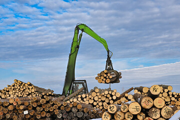 wood woodworking industry production plant wooden sawmill hand green yellow carving