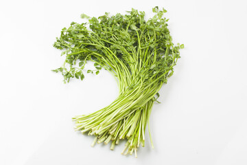  Water parsley is a perennial herb of the Apiaceae family. The stem is about 30 cm tall, hairless, and spreads by spreading out creeping stems.