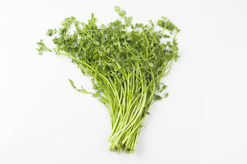  Water parsley is a perennial herb of the Apiaceae family. The stem is about 30 cm tall, hairless, and spreads by spreading out creeping stems.