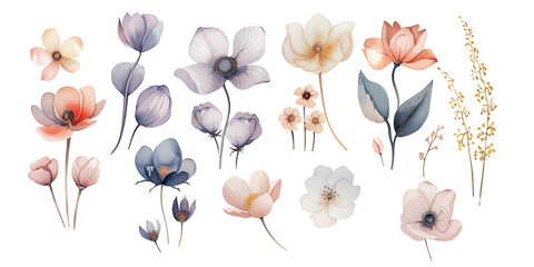 Elegant PNG set with watercolor flowers. Perfect for collages, prints, cards, invitations, web design and decorative projects.