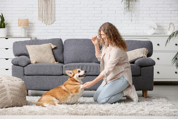 Young woman training Corgi dog at home