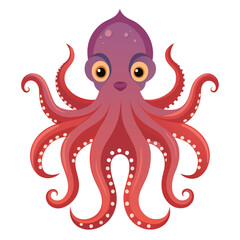 octopus vector image on white background