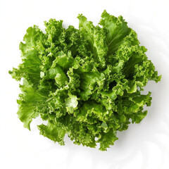 Fototapeta premium green salad on transparent bankground