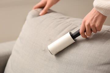 Fototapeta premium Woman cleaning sofa with lint roller at home, closeup