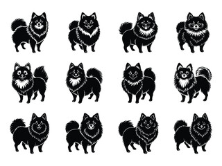Obraz premium Group of playful Pomeranian dog silhouettes isolated on white background