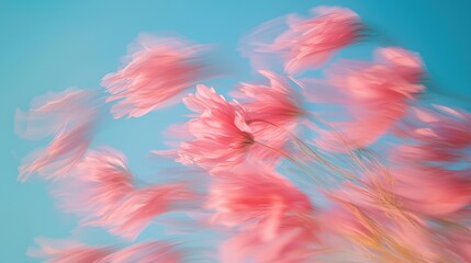 Fototapeta premium Abstract pink flowers in motion against a blue sky.