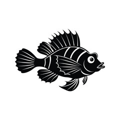 Naklejka premium Rockfish with fan-like fins and round body silhouette isolated on white background