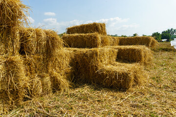 hay bales in the field .