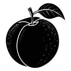 vector illustration of Apricot