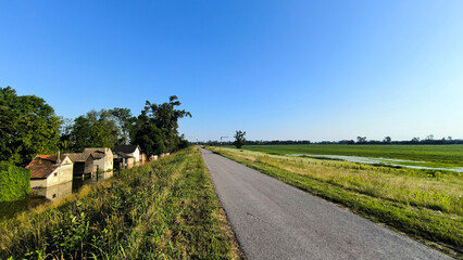 flooded banks of Danube river in Glozan village, Vojvodina province