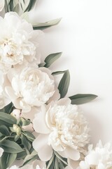 Obraz premium Elegant peony floral arrangement with soft pink petals and lush green leaves on a white background,