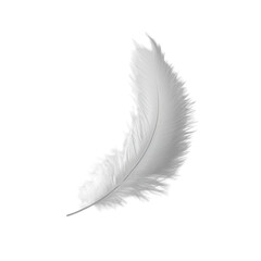 Single white feather floats gently serene lightness ethereal beauty,