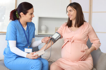 Female doctor measuring blood pressure of pregnant woman on sofa at home