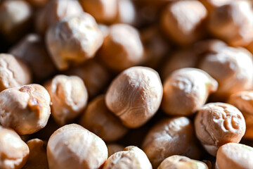 Close-up of chick peas or gram