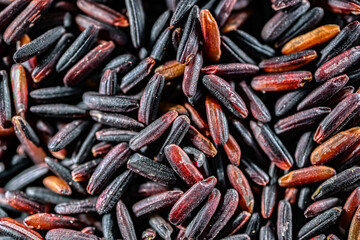 Close-up of black rice or purple rice