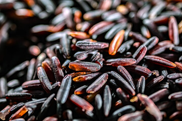 Close-up of black rice or purple rice