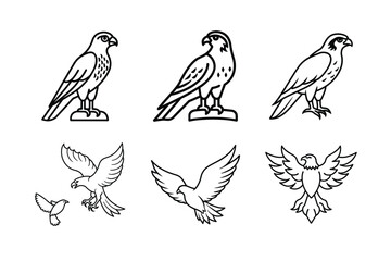 Obraz premium Vector illustration eagle bird set