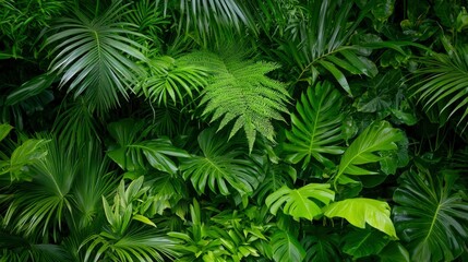 Lush green tropical foliage wall