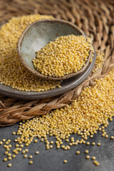 Bowl of raw uncooked yellow pearl hulled millet grain on gray table closeup. Ancient food