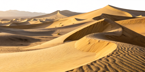 collection set of desert dunes isolated on white background png