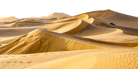 collection set of desert dunes isolated on white background png