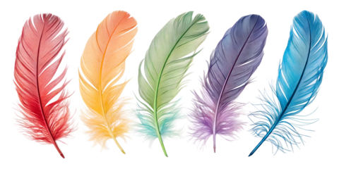 collection set of feathers isolated on white background png