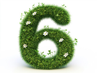Grass number six adorned with flowers and greenery design