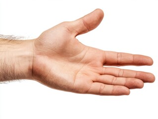 Open hand extended for a greeting or offer with palm facing up