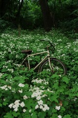 Bicycle in forest meadow