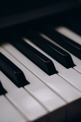Piano keys person plays classical music black and white