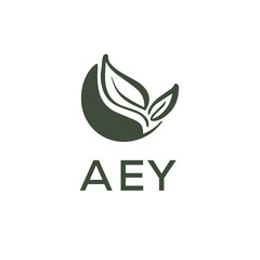 AEY LOGO DESIGN VECTOR TEMPLATE