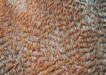 Macro of details brown carpet, background and Texture of orange carpet