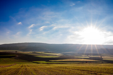 sun over the field
