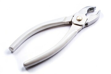 Obraz premium Useful tool pincers