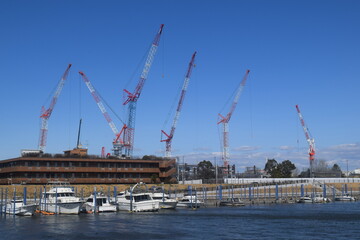 Fototapeta premium 川辺の建設現場に林立する多数のクレーン