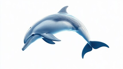 Fototapeta premium Jumping dolphin, joyful and lively isolated