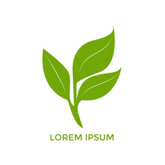 Sprout Logo Isolated White background. Vector Illustration