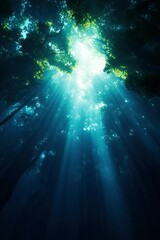 Obraz premium Sunlight through underwater forest