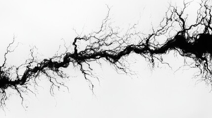 Fototapeta premium Abstract black branches stretch across a stark white background, resembling lightning veins in their intricate and chaotic natural patterns.