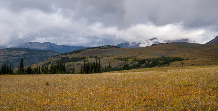 Apline meadow near Fifty Mountain, Glacier National Park, Montana, USA