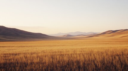 Golden fields stretch endlessly under a soft, pale sky, framed by distant, gentle hills, evoking tranquility and timelessness.