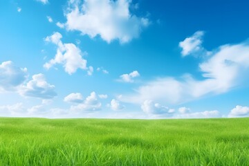 Fototapeta premium Lush Green Grass Field with Vibrant Blue Sky and Fluffy White Clouds Nature Landscape Scenery