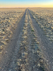 Long roads at sunset in the Patagonian steppe