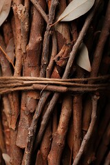 Close-up of bundled branches